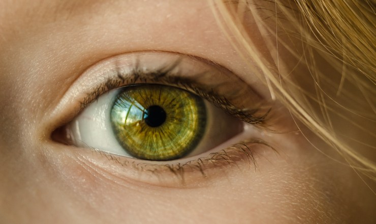 pexels-photoeye