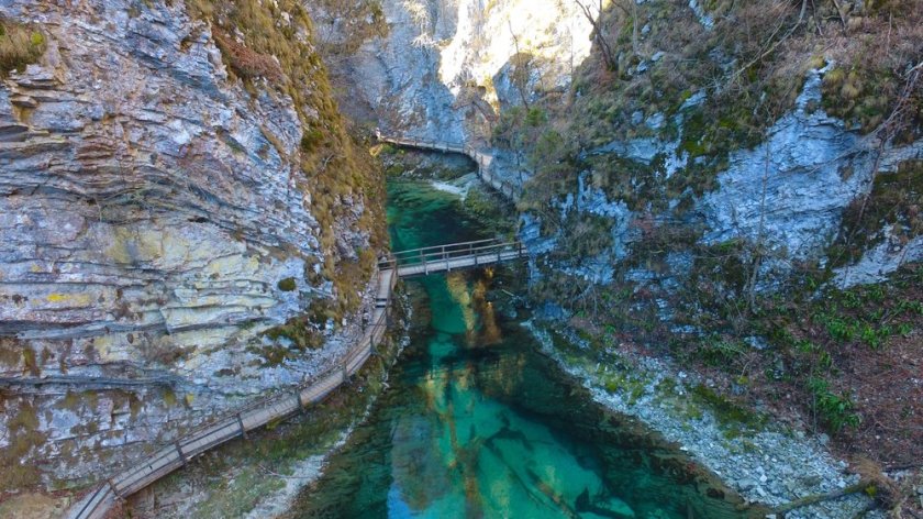 31352072263_4021157ecc_o