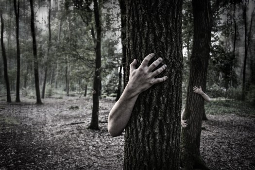 hands-984032_1920