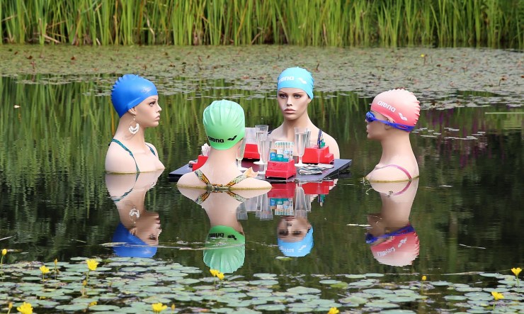 swimmers-415823_1920